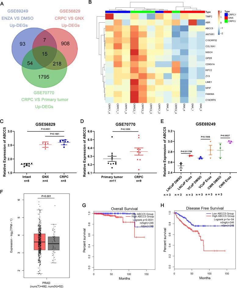 https://cdn.ncbi.nlm.nih.gov/pmc/blobs/a73b/9065095/4ebc03ddfaa5/41420_2022_951_Fig1_HTML.jpg