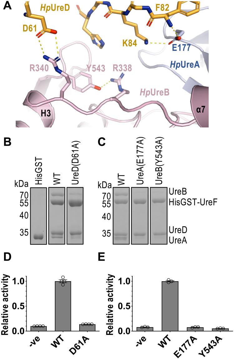 https://cdn.ncbi.nlm.nih.gov/pmc/blobs/a73d/10121161/9d2d8e8ea64c/sciadv.adf7790-f3.jpg