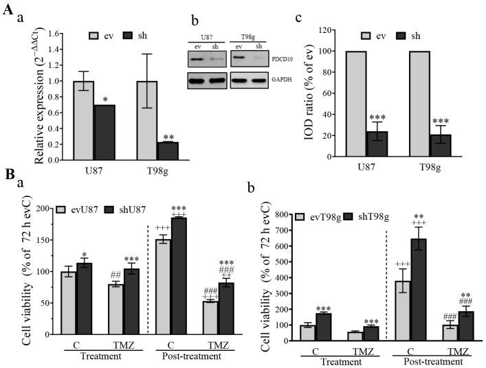 https://cdn.ncbi.nlm.nih.gov/pmc/blobs/a73f/11394141/1a3ce593c9ad/cells-13-01442-g001.jpg