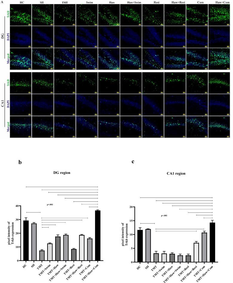https://cdn.ncbi.nlm.nih.gov/pmc/blobs/a740/12238279/8717cc765ad2/41598_2025_8414_Fig6_HTML.jpg