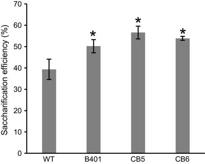 https://cdn.ncbi.nlm.nih.gov/pmc/blobs/a741/11388720/231ec60dd691/PBI-16-856-g002.jpg
