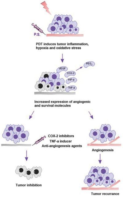 https://cdn.ncbi.nlm.nih.gov/pmc/blobs/a742/5238751/333d9382bc4c/ADVS-4-0-g002.jpg