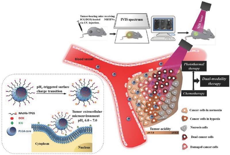 https://cdn.ncbi.nlm.nih.gov/pmc/blobs/a742/5238751/54e6de8244e0/ADVS-4-0-g012.jpg