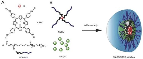 https://cdn.ncbi.nlm.nih.gov/pmc/blobs/a742/5238751/70a803ba54ac/ADVS-4-0-g008.jpg
