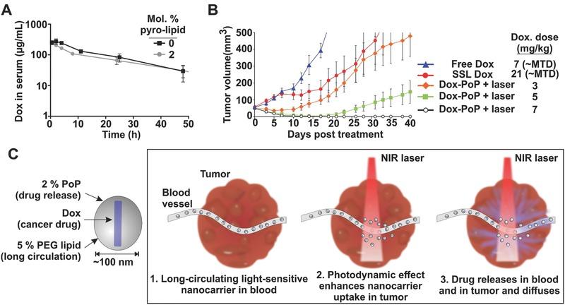 https://cdn.ncbi.nlm.nih.gov/pmc/blobs/a742/5238751/9eff2b40b971/ADVS-4-0-g006.jpg