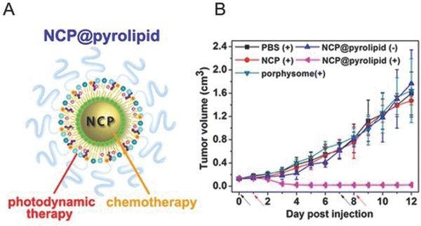 https://cdn.ncbi.nlm.nih.gov/pmc/blobs/a742/5238751/dff103c96655/ADVS-4-0-g009.jpg