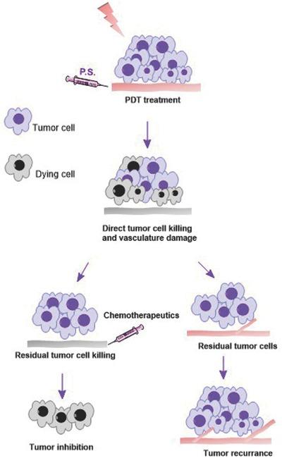 https://cdn.ncbi.nlm.nih.gov/pmc/blobs/a742/5238751/e81e490a3ebe/ADVS-4-0-g001.jpg