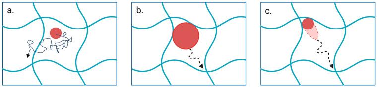 https://cdn.ncbi.nlm.nih.gov/pmc/blobs/a743/12196392/60416547dec1/pharmaceutics-17-00760-g003.jpg