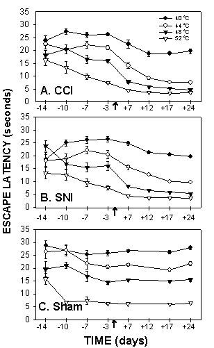 https://cdn.ncbi.nlm.nih.gov/pmc/blobs/a745/1156939/7d7213ea5e1b/1744-8069-1-18-5.jpg