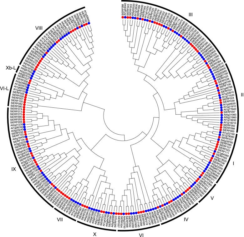 https://cdn.ncbi.nlm.nih.gov/pmc/blobs/a745/9128266/2944aec2bca7/12870_2022_3632_Fig2_HTML.jpg