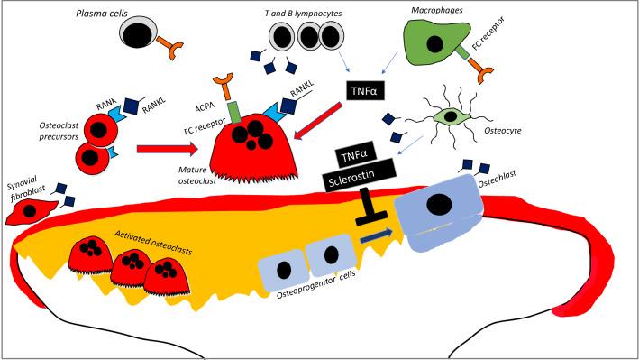 https://cdn.ncbi.nlm.nih.gov/pmc/blobs/a745/9560949/81bdd46b6063/223_2022_1001_Fig1_HTML.jpg