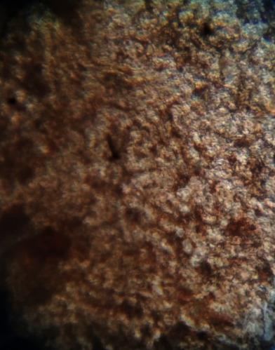 https://cdn.ncbi.nlm.nih.gov/pmc/blobs/a747/8759858/eb682620b231/JHE2022-4026128.006.jpg