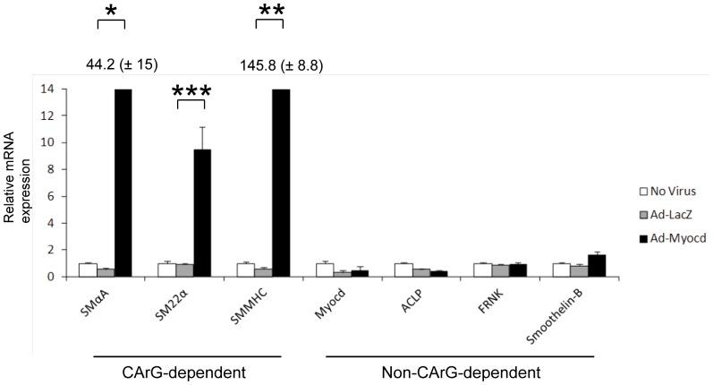 https://cdn.ncbi.nlm.nih.gov/pmc/blobs/a749/3429416/cc55e7d8b128/pone.0044052.g004.jpg
