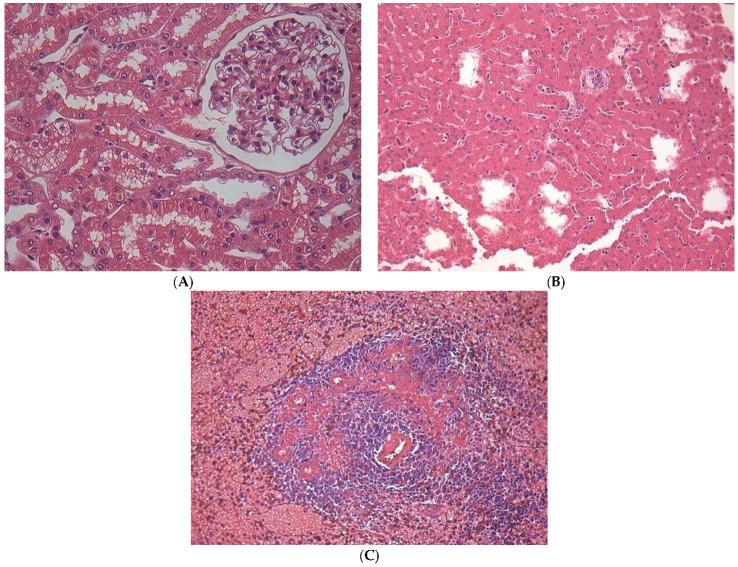 https://cdn.ncbi.nlm.nih.gov/pmc/blobs/a74c/11206245/8e0c0a6e3960/pharmaceuticals-17-00767-g004.jpg
