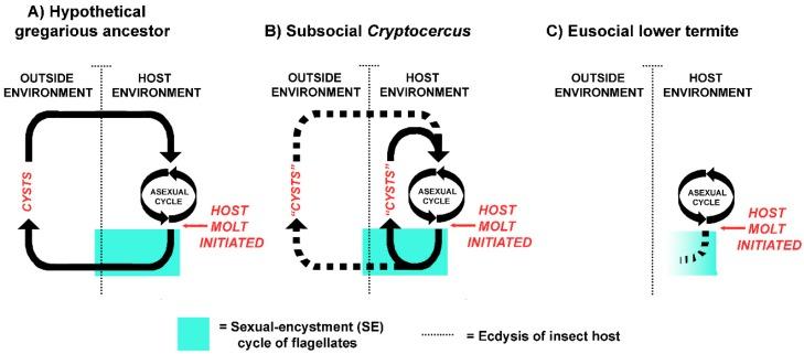 https://cdn.ncbi.nlm.nih.gov/pmc/blobs/a74e/5748591/ec7d977a57e0/microorganisms-05-00082-g002.jpg