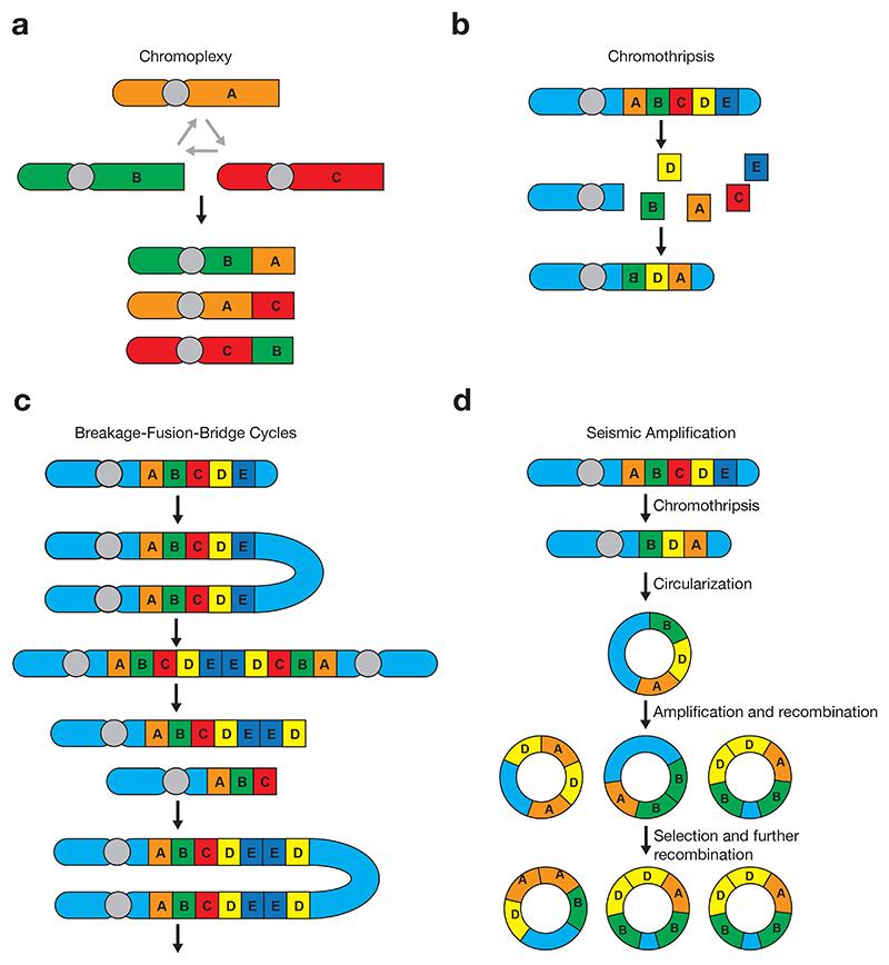 https://cdn.ncbi.nlm.nih.gov/pmc/blobs/a74e/7616040/0378d01994c2/EMS196328-f003.jpg