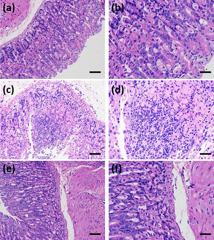 https://cdn.ncbi.nlm.nih.gov/pmc/blobs/a750/9835626/44ab8d15322a/ao2c05880_0003.jpg