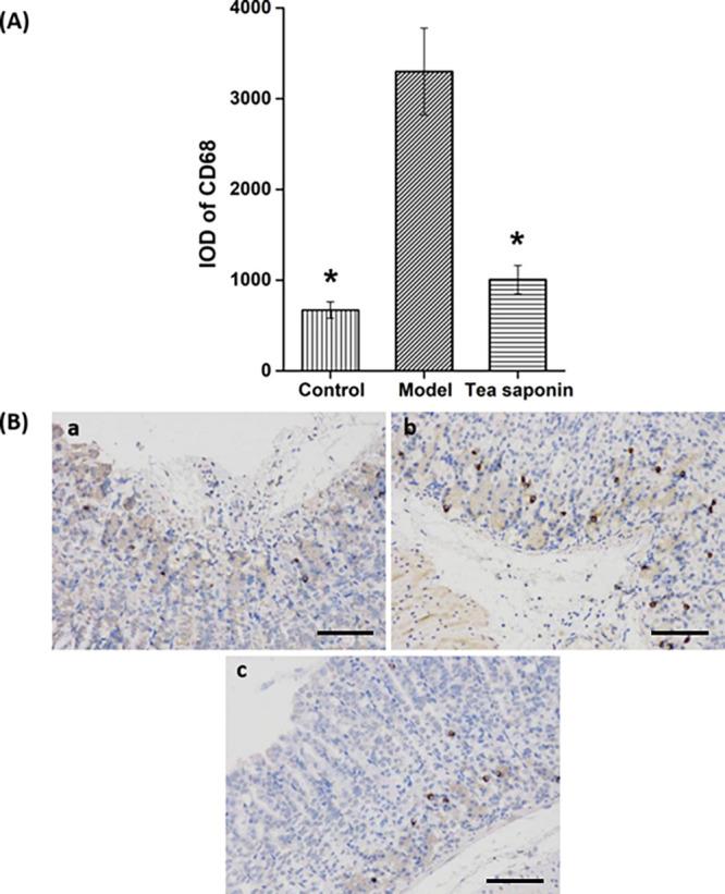 https://cdn.ncbi.nlm.nih.gov/pmc/blobs/a750/9835626/a22b0e4ace0f/ao2c05880_0004.jpg