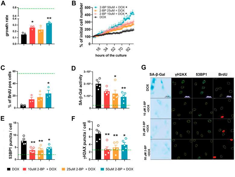 https://cdn.ncbi.nlm.nih.gov/pmc/blobs/a751/11386925/8b3b1a701bfa/aging-16-206080-g002.jpg