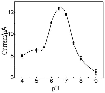 https://cdn.ncbi.nlm.nih.gov/pmc/blobs/a751/3039957/2ad3218761b3/ijms-12-00362f6.jpg