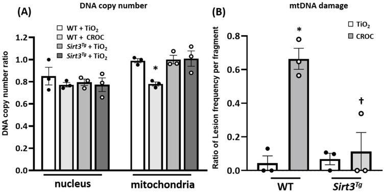 https://cdn.ncbi.nlm.nih.gov/pmc/blobs/a752/8268084/7719ea99448e/ijms-22-06856-g002.jpg