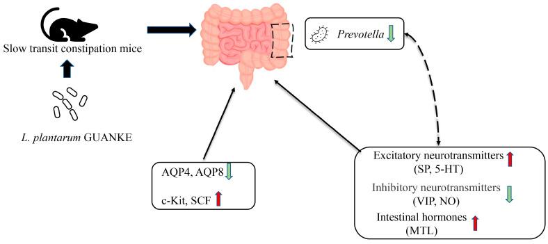 https://cdn.ncbi.nlm.nih.gov/pmc/blobs/a753/10490327/9949707c2c65/nutrients-15-03741-g005.jpg