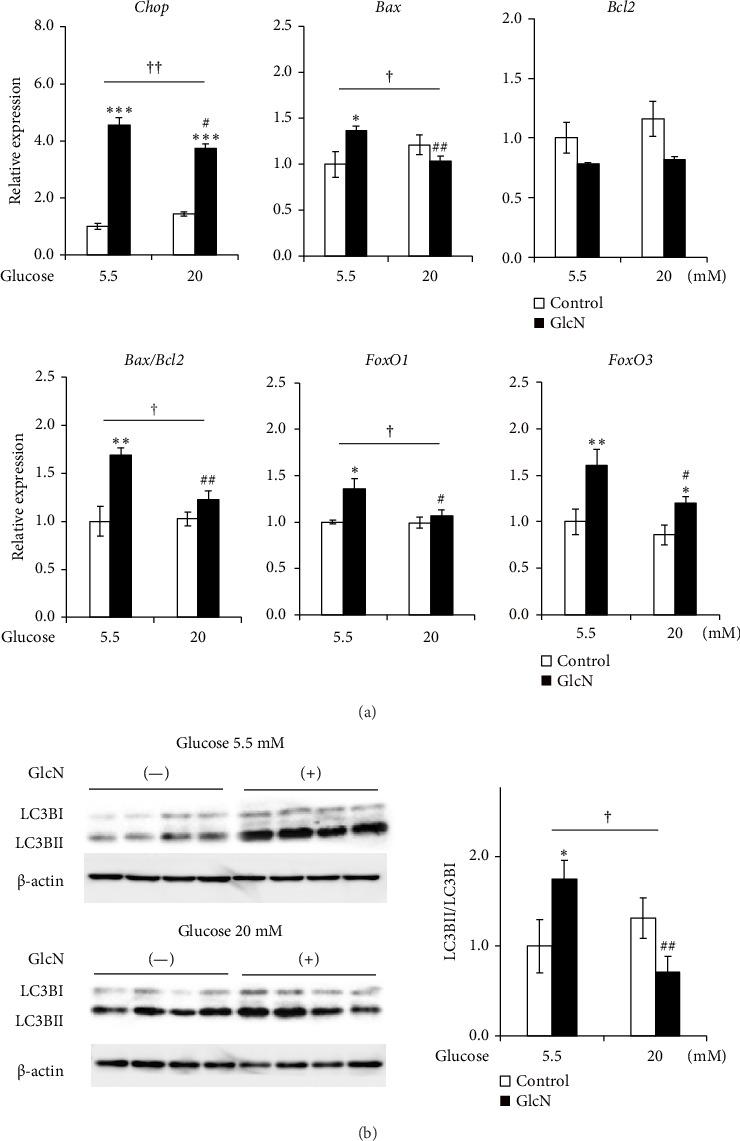 https://cdn.ncbi.nlm.nih.gov/pmc/blobs/a753/11735062/882804d99cd0/SCIENTIFICA2025-5685884.005.jpg