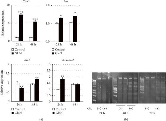 https://cdn.ncbi.nlm.nih.gov/pmc/blobs/a753/11735062/ab06bf8fb6da/SCIENTIFICA2025-5685884.002.jpg
