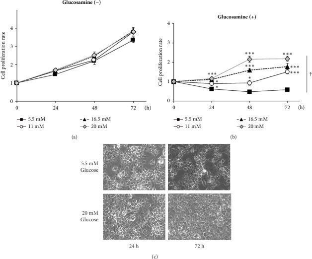 https://cdn.ncbi.nlm.nih.gov/pmc/blobs/a753/11735062/faa0764e4055/SCIENTIFICA2025-5685884.004.jpg