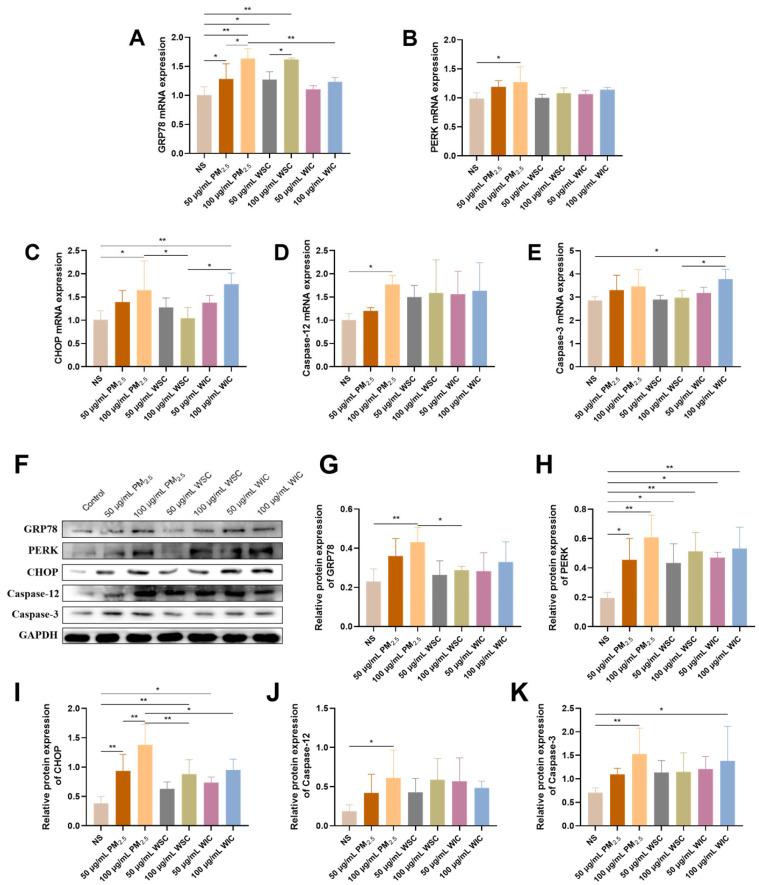 https://cdn.ncbi.nlm.nih.gov/pmc/blobs/a755/12027522/807bcc9cb321/ijms-26-03784-g003.jpg