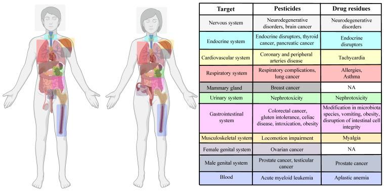 https://cdn.ncbi.nlm.nih.gov/pmc/blobs/a75a/11355024/33604c8dcd7a/ijms-25-09116-g003.jpg