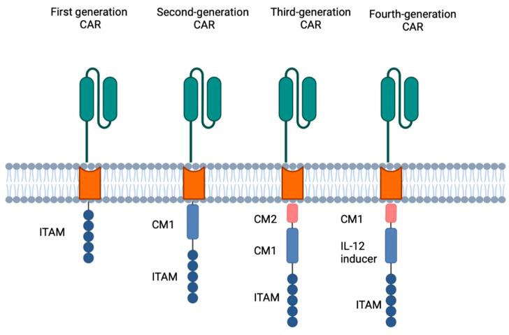 https://cdn.ncbi.nlm.nih.gov/pmc/blobs/a75b/10296619/75acfa787321/cells-12-01586-g001.jpg