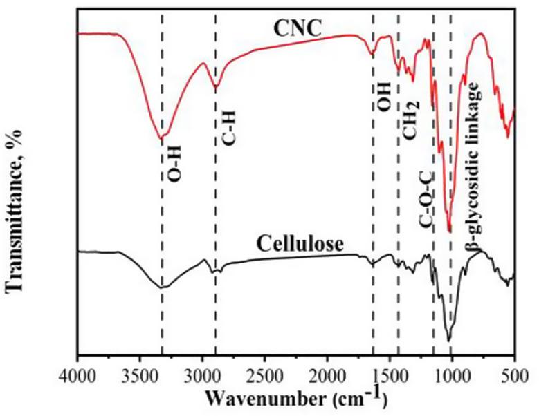 https://cdn.ncbi.nlm.nih.gov/pmc/blobs/a75b/12351947/60ee092c80ba/13065_2025_1601_Fig2_HTML.jpg
