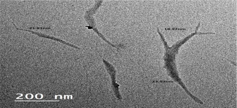 https://cdn.ncbi.nlm.nih.gov/pmc/blobs/a75b/12351947/9c5b9adc7f74/13065_2025_1601_Fig1_HTML.jpg