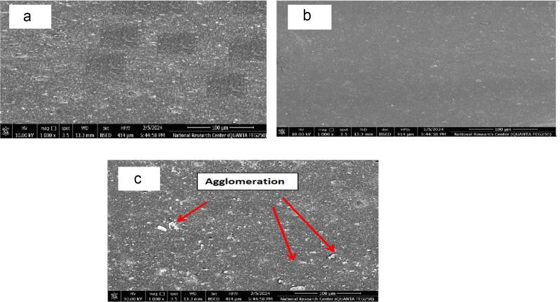https://cdn.ncbi.nlm.nih.gov/pmc/blobs/a75b/12351947/fc81b3140720/13065_2025_1601_Fig7_HTML.jpg