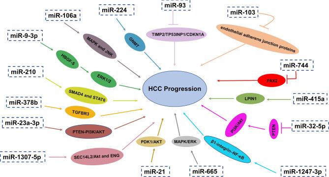 https://cdn.ncbi.nlm.nih.gov/pmc/blobs/a75b/8912917/bcd408c0f52c/fonc-12-790916-g002.jpg