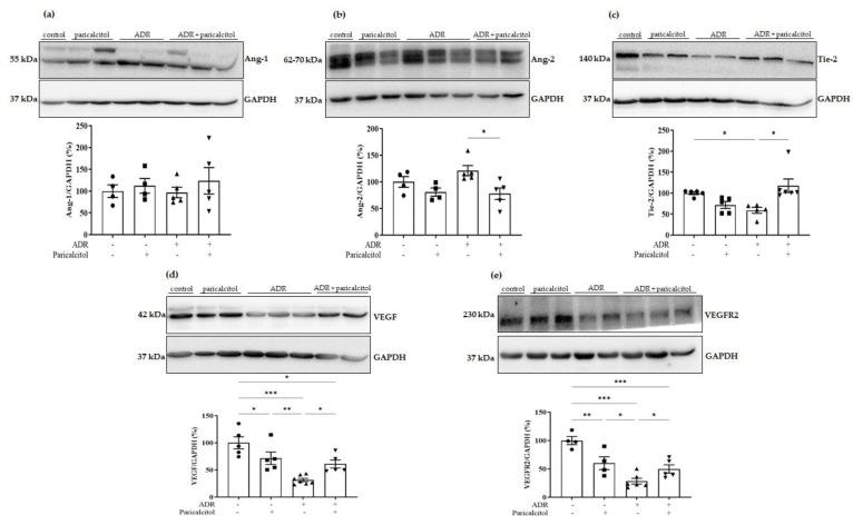 https://cdn.ncbi.nlm.nih.gov/pmc/blobs/a75b/9783872/44202304cdf7/nutrients-14-05316-g010.jpg