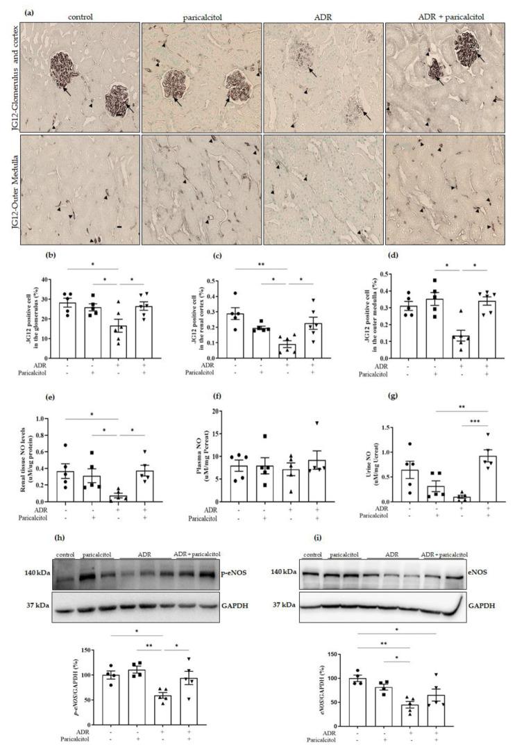 https://cdn.ncbi.nlm.nih.gov/pmc/blobs/a75b/9783872/6fbcf0c4430e/nutrients-14-05316-g004.jpg