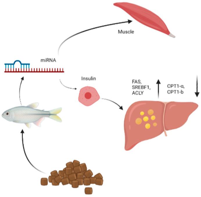https://cdn.ncbi.nlm.nih.gov/pmc/blobs/a75c/10045198/98d47b357a57/biology-12-00388-g004.jpg