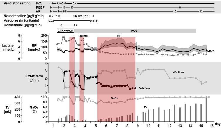 https://cdn.ncbi.nlm.nih.gov/pmc/blobs/a75c/11521961/a3dccdc8872f/cureus-0016-00000070463-i03.jpg