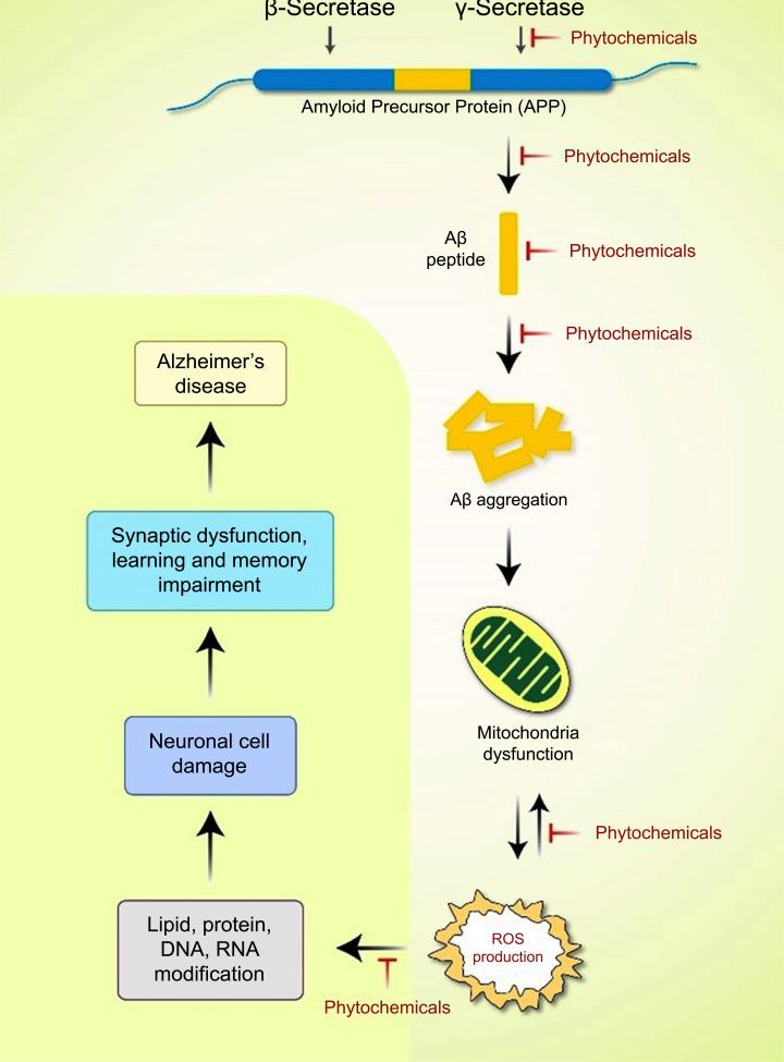 https://cdn.ncbi.nlm.nih.gov/pmc/blobs/a75d/11333791/8849a25ee32c/CN-22-1942_F4.jpg