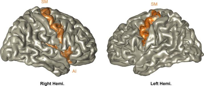 https://cdn.ncbi.nlm.nih.gov/pmc/blobs/a75f/6706815/9b35f9a7055f/fpsyt-10-00562-g002.jpg