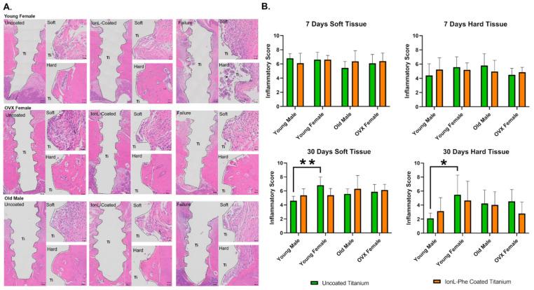 https://cdn.ncbi.nlm.nih.gov/pmc/blobs/a760/9026960/27f2adf40cf8/genes-13-00642-g004.jpg