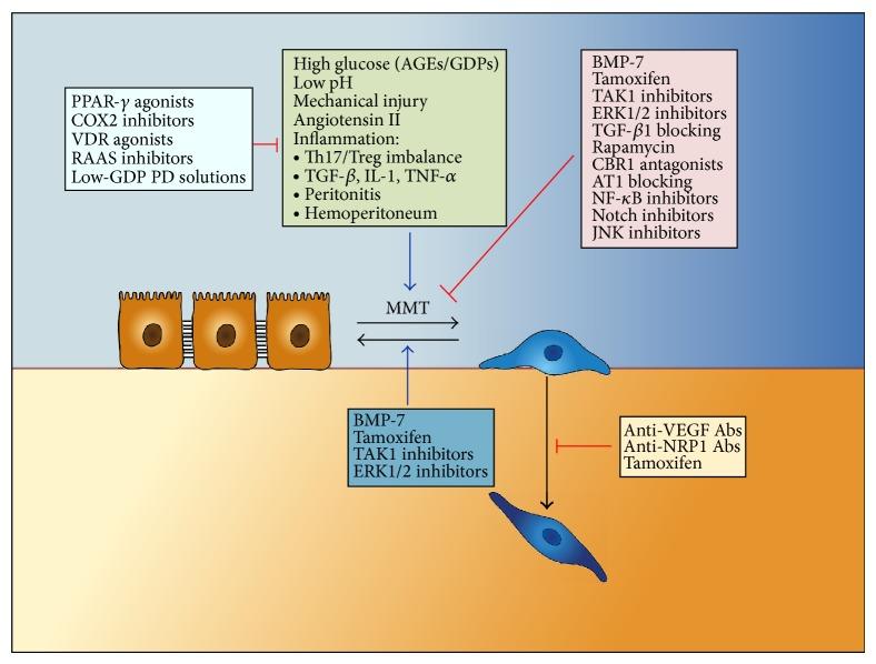 https://cdn.ncbi.nlm.nih.gov/pmc/blobs/a761/4590954/92113e637513/AMED2014-473134.006.jpg