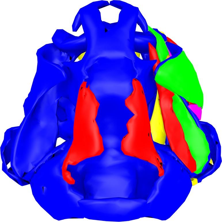https://cdn.ncbi.nlm.nih.gov/pmc/blobs/a762/5325227/2e41ec398295/pone.0171669.g006.jpg
