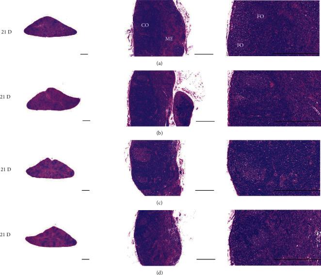 https://cdn.ncbi.nlm.nih.gov/pmc/blobs/a762/9617706/3a220c092151/ECAM2022-7971801.015.jpg