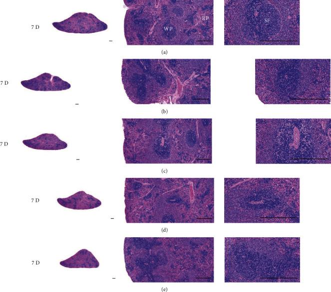 https://cdn.ncbi.nlm.nih.gov/pmc/blobs/a762/9617706/6a29176deb9a/ECAM2022-7971801.005.jpg