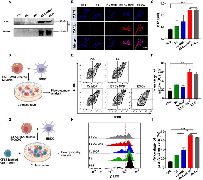 https://cdn.ncbi.nlm.nih.gov/pmc/blobs/a763/11208873/1dc9f3b8302f/bmr.0039.fig.004.jpg