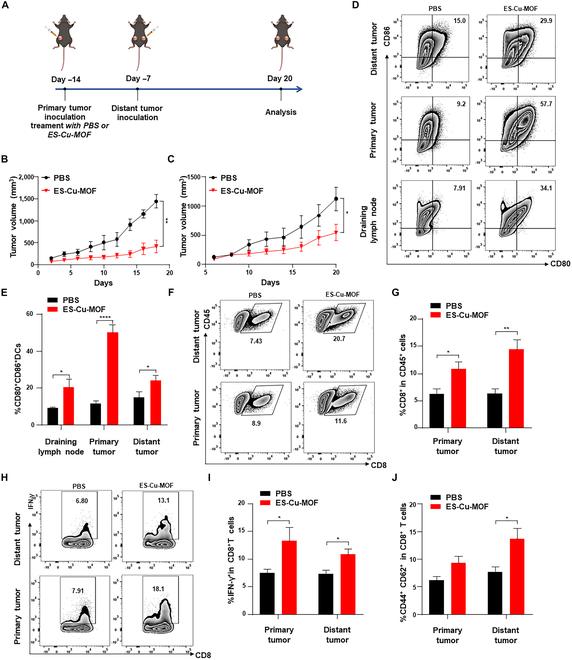 https://cdn.ncbi.nlm.nih.gov/pmc/blobs/a763/11208873/6c08b65e1b4e/bmr.0039.fig.007.jpg