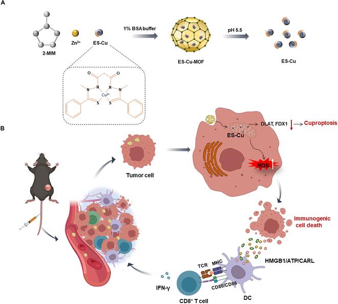https://cdn.ncbi.nlm.nih.gov/pmc/blobs/a763/11208873/8a2fba54483a/bmr.0039.fig.001.jpg